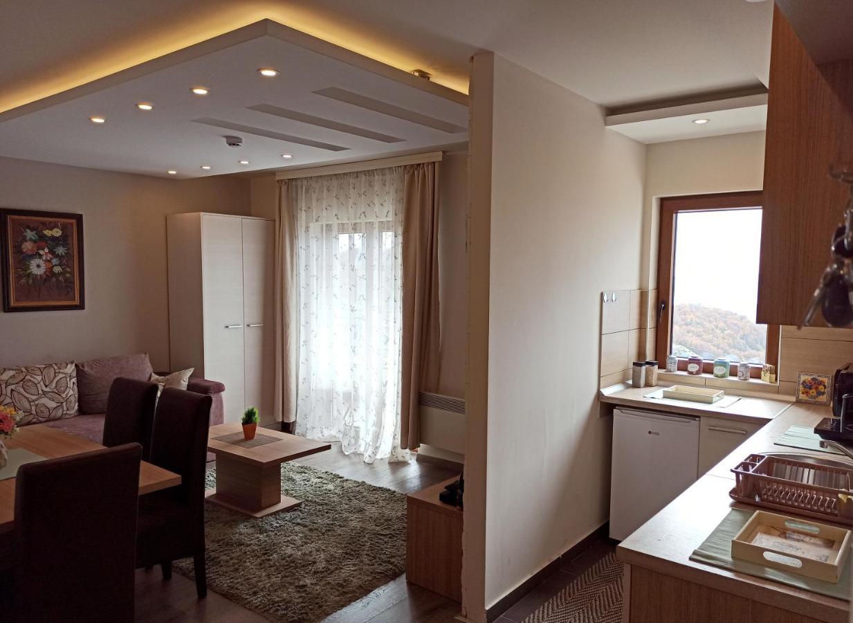 Modern Lux Apartment H8 at Milmari Resort Kopaonik Extérieur photo